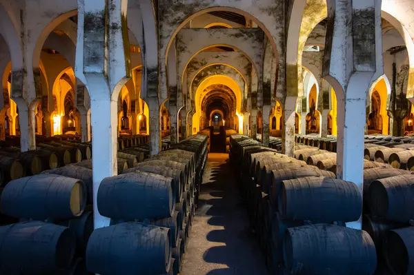 winery visit seville de luxe